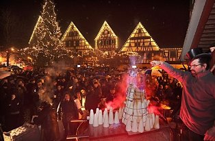 BdS Steinheim | Einzeln gut, zusammen perfekt